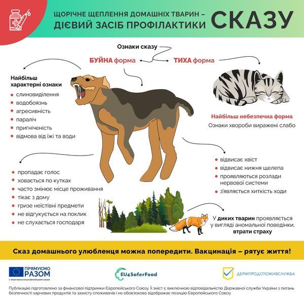 Сказ Сказ
